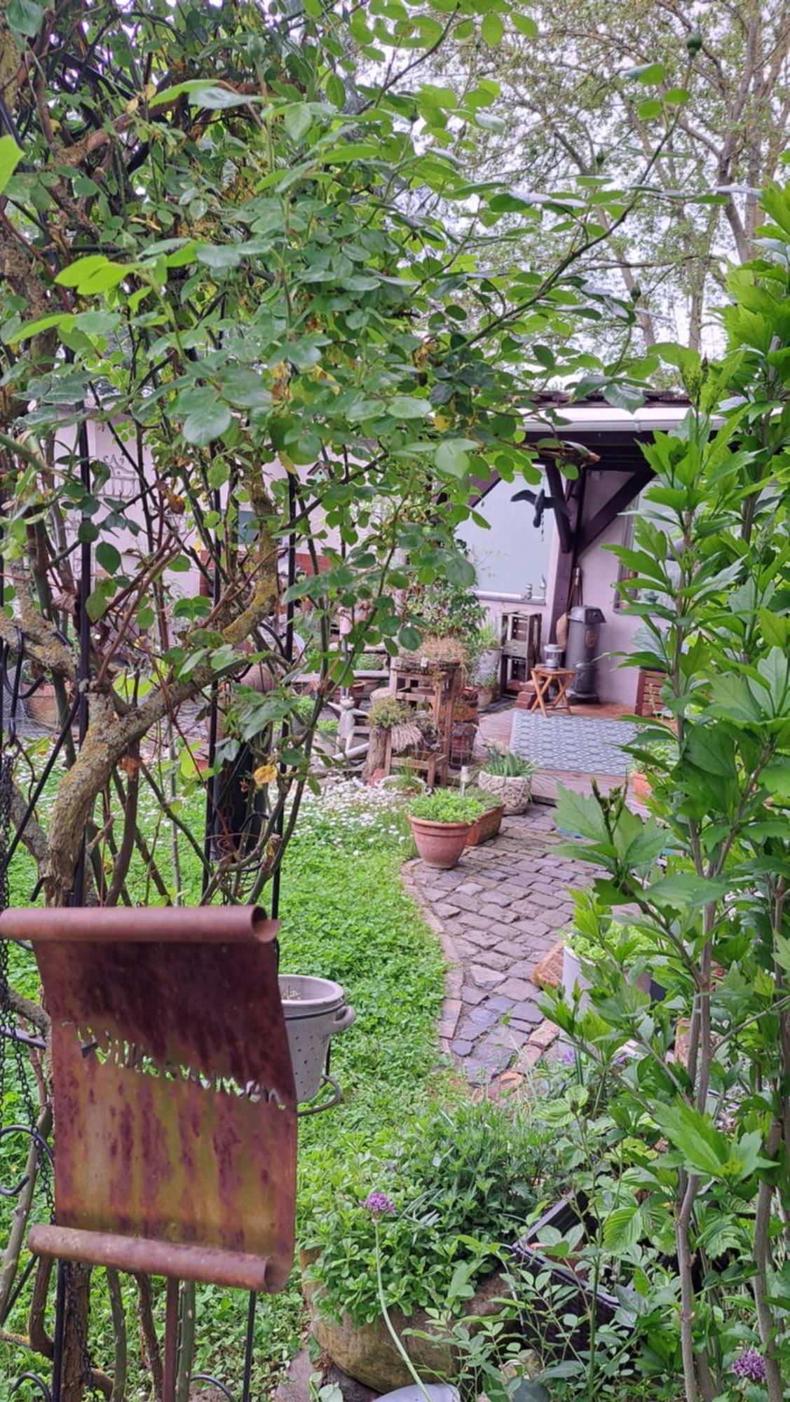 Mertloch Ferienwohnung Vogt מראה חיצוני תמונה