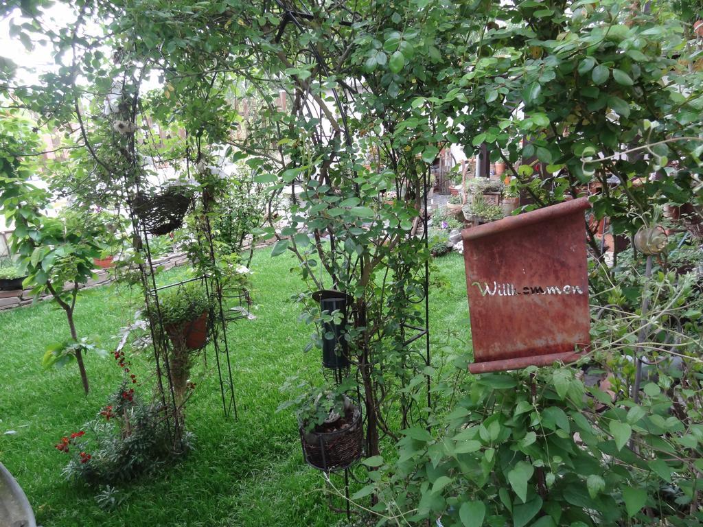 Mertloch Ferienwohnung Vogt מראה חיצוני תמונה